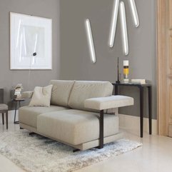 Interior With Modern Light Creamy Colored Sofas By Ligne Roset Small Apartment - Karbonix