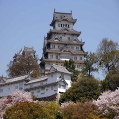 Japanese Attractive Castle - Karbonix