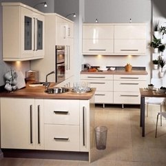 Best Inspirations : Kitchen Cabinets Online Build A - Karbonix