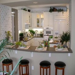 Kitchen Design With Plant Vines Free - Karbonix