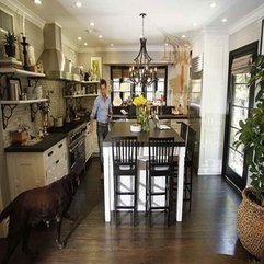 Best Inspirations : Kitchen Design With The Dog Jeff Lewis - Karbonix