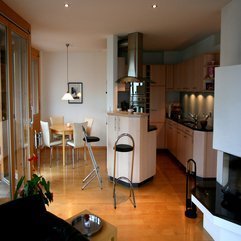 Best Inspirations : Kitchen Extraordinary Interior Kitchen Apartments Chic Modern - Karbonix