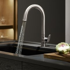 Best Inspirations : Kitchen Faucets Interior Design About Kohler Kitchen Stylish Kohler - Karbonix