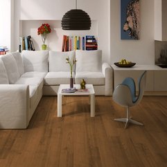 Laminate Flooring Image Modern - Karbonix