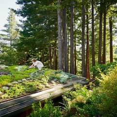 Best Inspirations : Landscape Home Roof Idea Gardening - Karbonix
