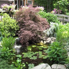 Best Inspirations : Landscaping Ponds Beautiful Backyard - Karbonix