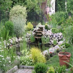 Landscaping Ponds Natural Backyard - Karbonix