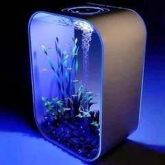 Lighting Decoration Ideas Pictures Cool Aquarium - Karbonix