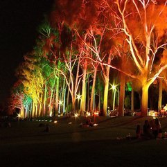 Lights Design Amazing Tree - Karbonix