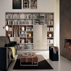 Best Inspirations : Living Room With Bookshelf Cozy - Karbonix