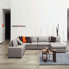 Best Inspirations : Living Room With Modern Minimalist Sofas And Rugs Light Grey Colors Modern Apartment - Karbonix