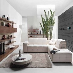 Living Room With Shelves Design Decorate A - Karbonix