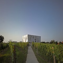 Best Inspirations : Loisium Hotel With Sightly White Solid Wall Wine Garden Looks Fancy - Karbonix