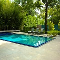 Best Inspirations : Lounge Chairs Placed Under Tree Near Blue Swimming Pool Grey - Karbonix