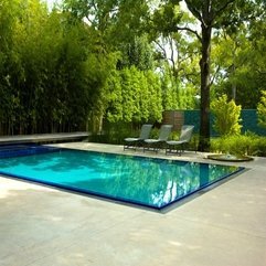 Lounge Chairs Placed Under Tree Near Blue Swimming Pool Grey - Karbonix