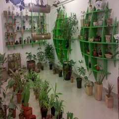 Many Kind Of Plants Indoor Gardens - Karbonix