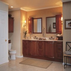 Medicine Cabinets Ideas Bathroom Mirror - Karbonix