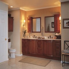 Best Inspirations : Medicine Cabinets Ideas Bathroom Mirror - Karbonix