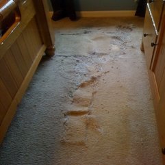 Memphis Apartment Carpet Pet Damage Memphis Carpet Repair - Karbonix