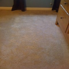 Memphis Apartment Carpet Pet Damage Repaired Memphis Carpet Repair - Karbonix