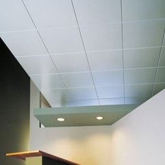 Minimalist Design Ceiling Treatment - Karbonix
