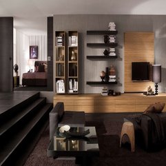 Minimalist Sofa Matched With Deep Brown Rugs Natural Wood Wall Unit In Modern Style - Karbonix