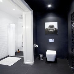 Minimalist White Bathrooms Semi Minimilist - Karbonix