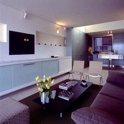 Modern Apartment Living Rooms Decorating Ideas - Karbonix