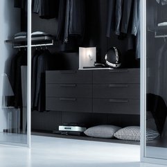 Modern Closet Ideas Details - Karbonix