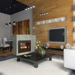 Modern Fireplaces Gas Amazing - Karbonix