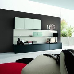 Modern Homes Modern Shelving - Karbonix