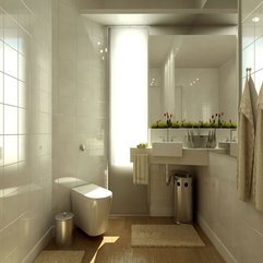 Neutral Bathroom Color Schemes Decosee - Karbonix