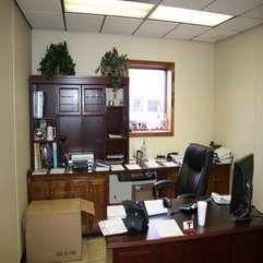 Office At Work With Plant Vines Decorating An - Karbonix