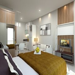 One Room Apartment Interior Design Modern Classic - Karbonix