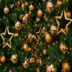 Best Inspirations : Ornaments On Christmst Tree Star Gold - Karbonix
