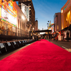 Oscars Red Carpet Png Png - Karbonix