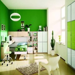 Paint Colors With Bookcase Green Wall - Karbonix