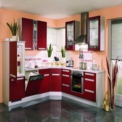 Best Inspirations : Paint For Kitchen With Red Color Best Cabinet - Karbonix