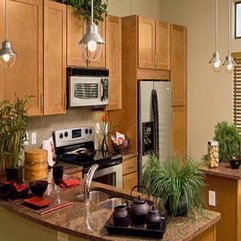 Paint For Kitchen With Regular Design Best Cabinet - Karbonix