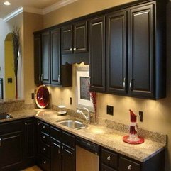 Painting Cabinets With Black Color Ideas - Karbonix