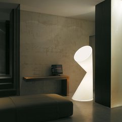 Photo Floor Lamps - Karbonix