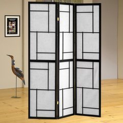 Picture Room Dividers - Karbonix