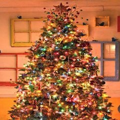 Pictures With Colorful Lights Christmas Tree - Karbonix
