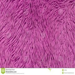 Pink Carpet Stock Photography Image 570332 - Karbonix