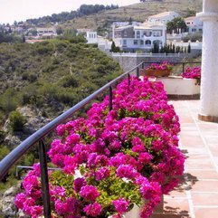 Pink Flowers Decoration Balconies - Karbonix
