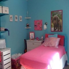Best Inspirations : Pink Room Ideas Best Blue - Karbonix