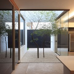 Planted Courtyard Inside Glass Wall Small Trees - Karbonix