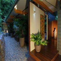 Plants In Pot Placed On Wooden Floor Inside Space In Green - Karbonix