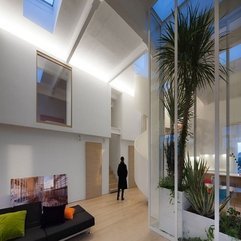 Plants Inside Private Home Placed In Glazed Box In Green - Karbonix