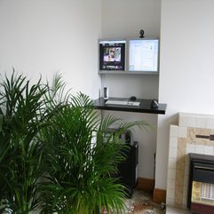 Plants Living Spaces Indoor Palm - Karbonix